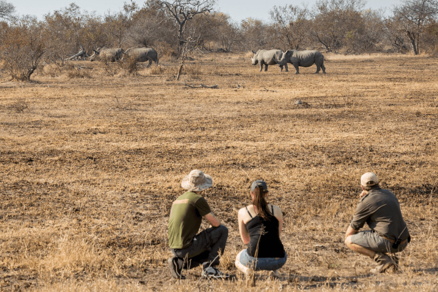 Guided bushwalks possible on a Klaserie Private Safari