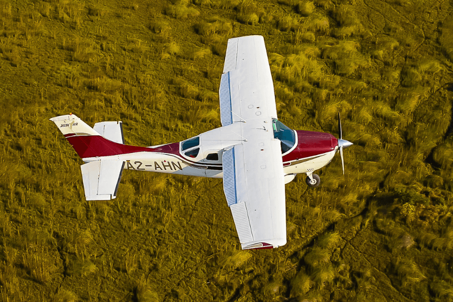 Flying Safaris