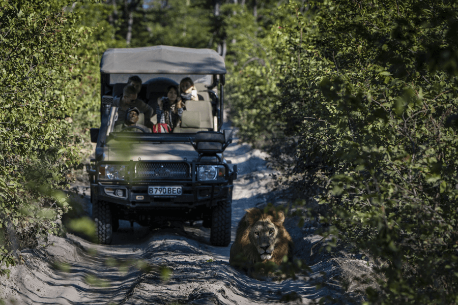 National Parks vs Private Reserves sightings