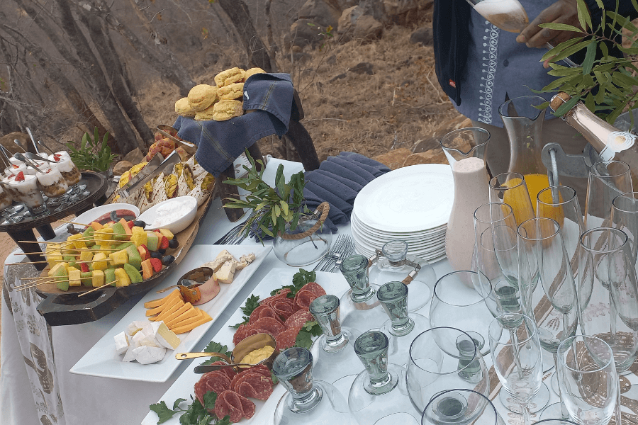 Bush brunch on a Sabi Sands safari