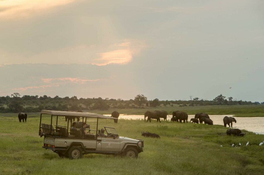 Chobe River Safari