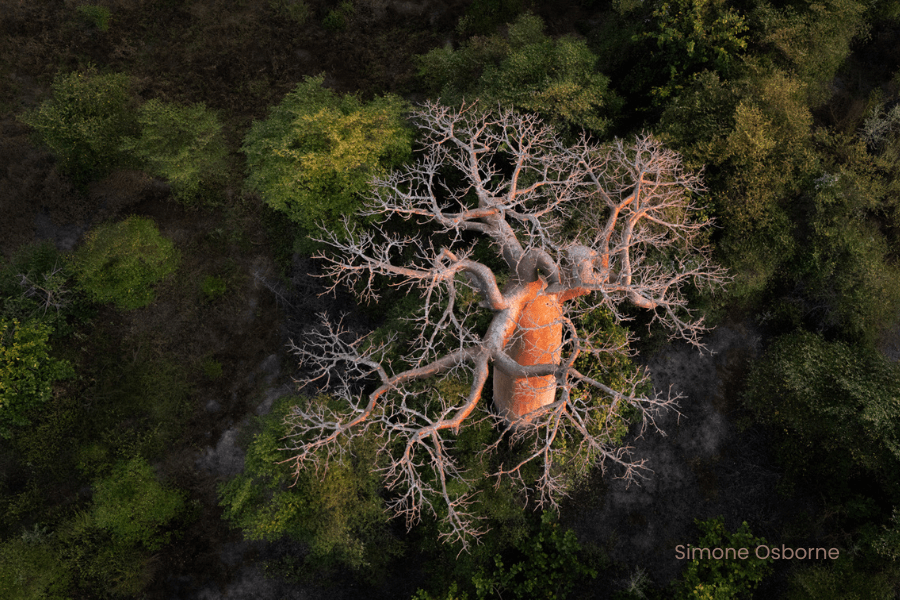 Simone travelled to Madagascar
