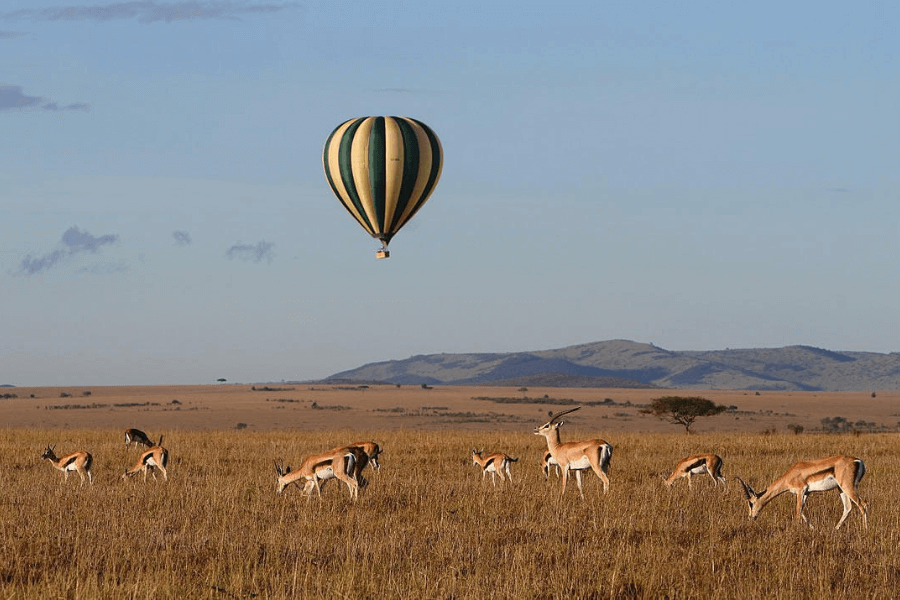 Hot Air Balloon Safari