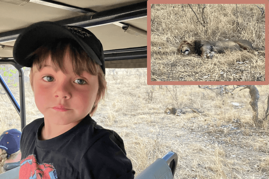 Travels with Kai included game drives