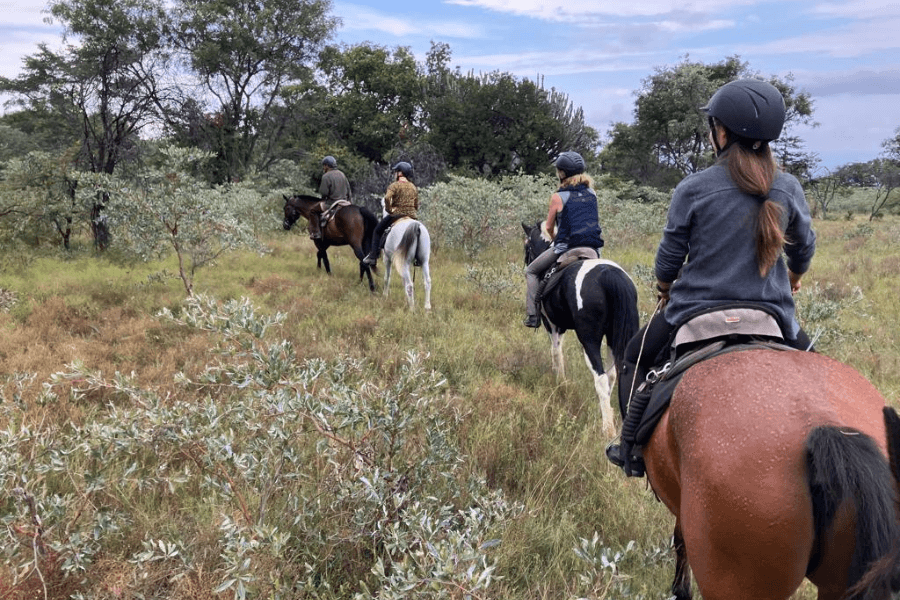 Horse riding on a South African safari