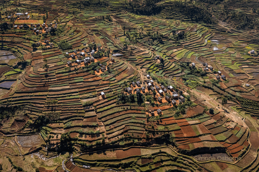 Rice terraces in Madagascar