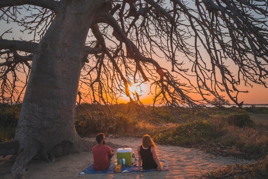 Baobab tree overlooking the Indian Ocean