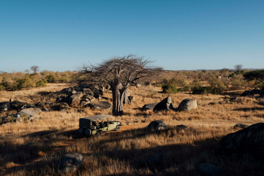 Game drive in Ruaha