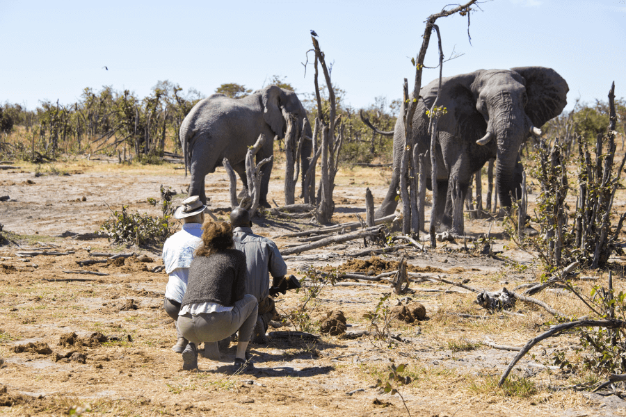 National Parks vs Private Reserves activities