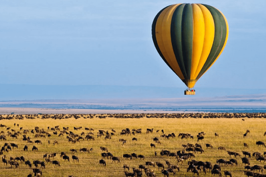 Flying Safaris over the wildebeest migration