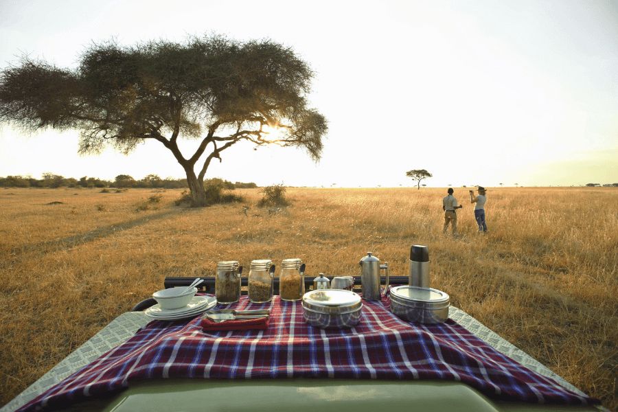 Bush breakfast style on safari