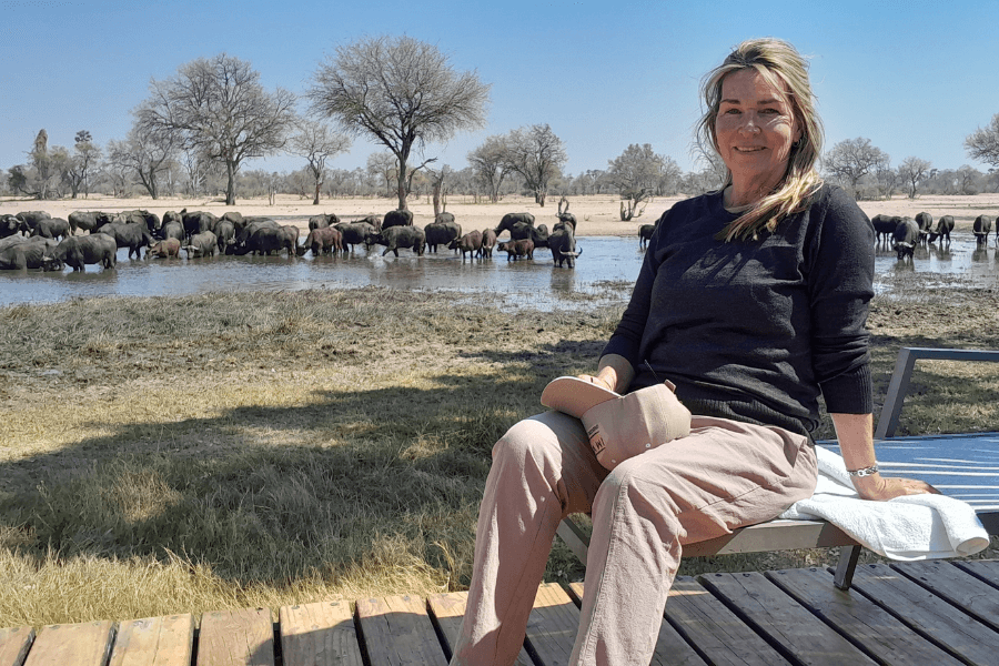 Buffalo in camp
