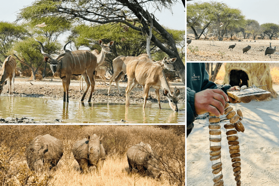 Central Kalahari Exploring Jewel of Africa