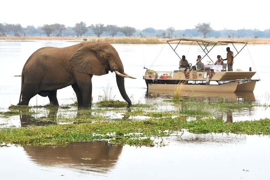 Best safaris along Africa's Rivers Lower Zambezi