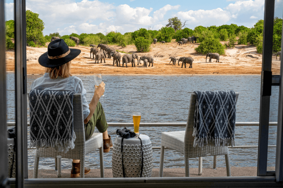 Elephants game viewing from the houseboat