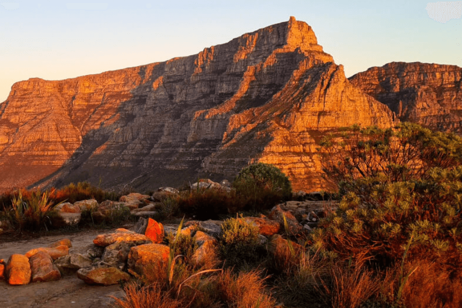 Table Mountain