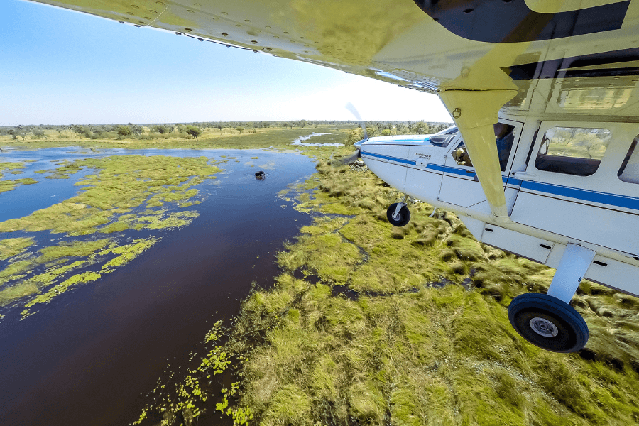 First-time Safari guide & the Words you'll need