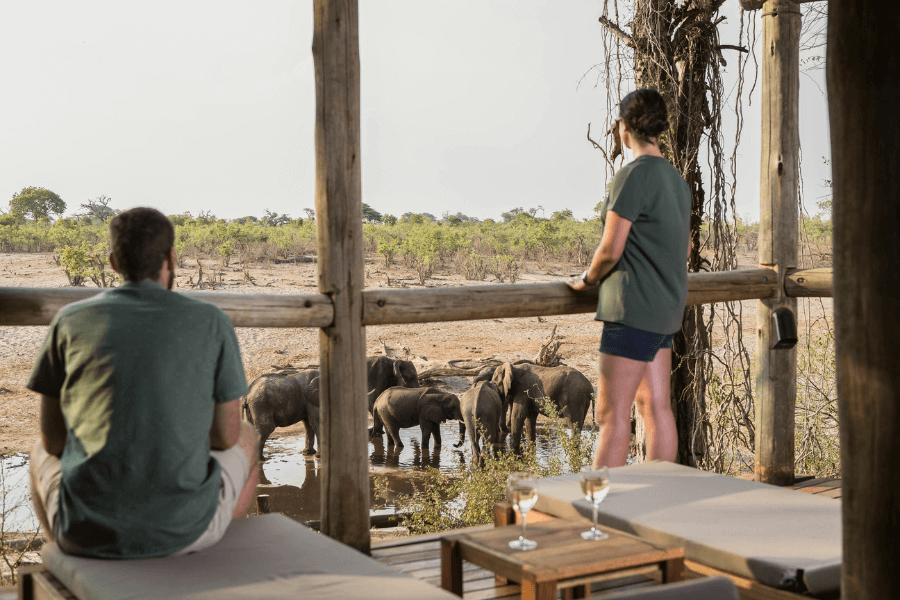 Elephants drinking at the lodge waterhole in the Savute
