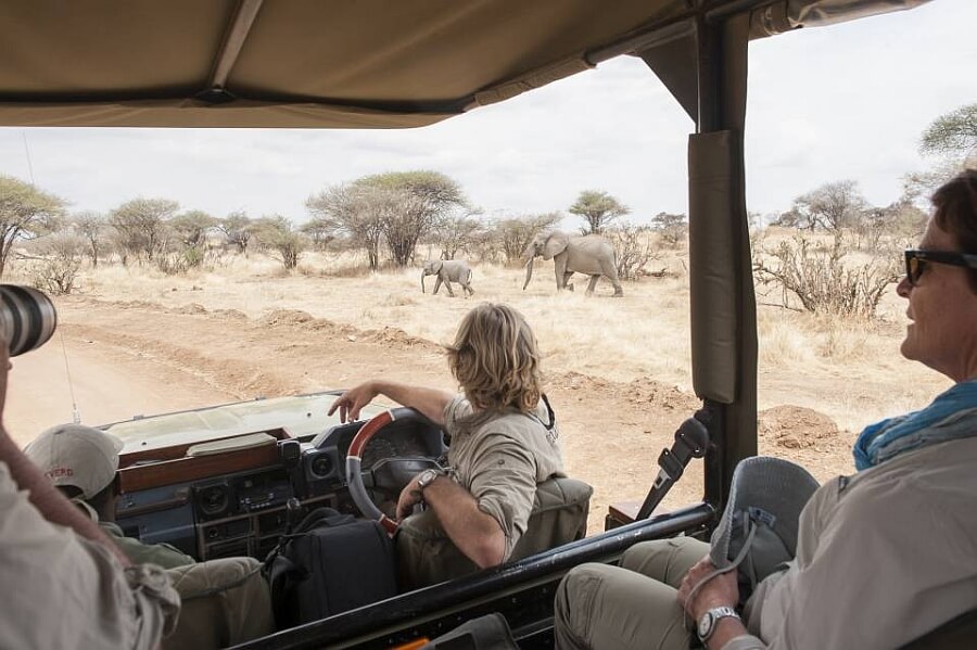 Open Safari Vehicle