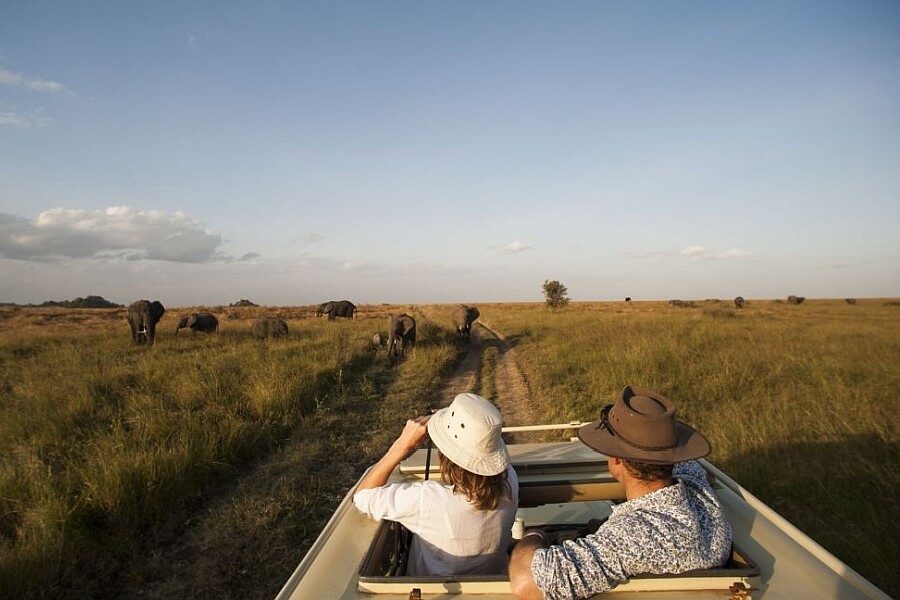 Safari Vehicles in East Africa - Closed Vehicles