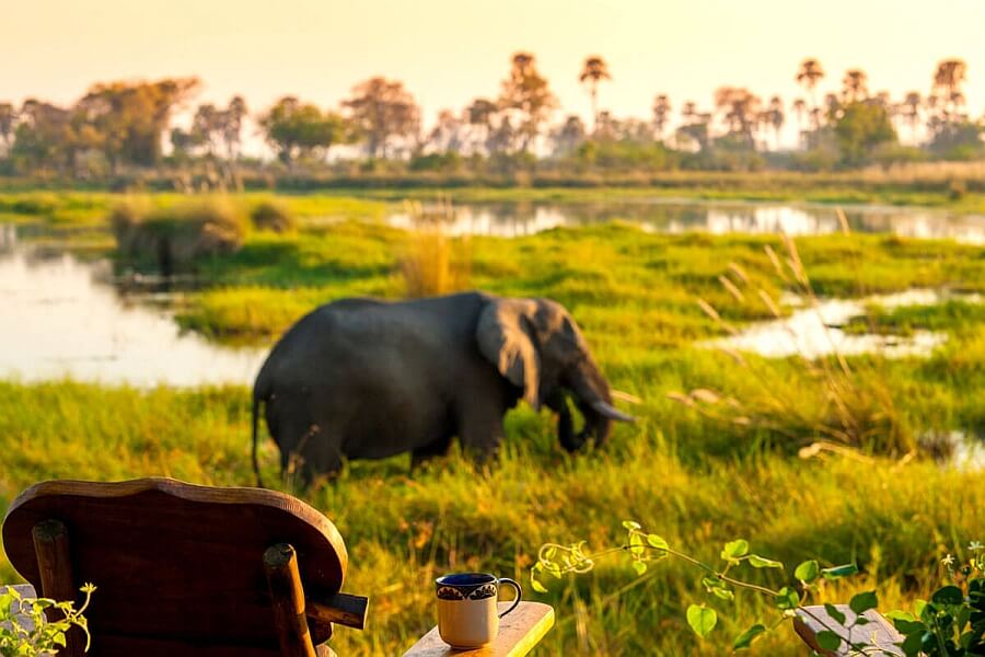 Botswana Travel with Toddlers and Babies