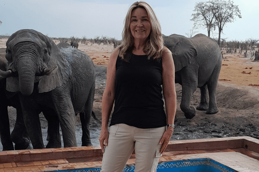 Elephants in camp Zimbabwe experience