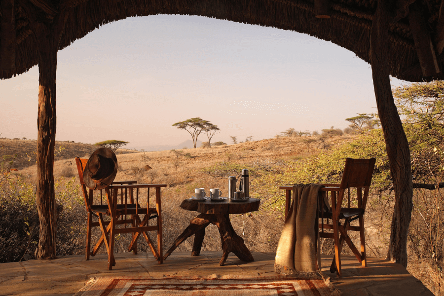 Coffee in the bush