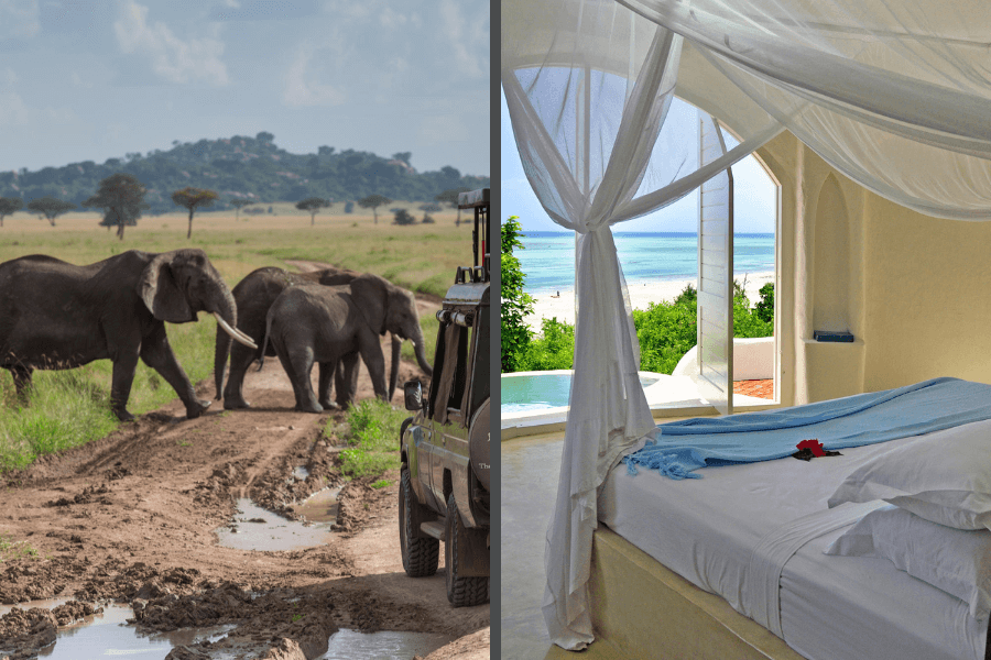 Tanzania safari and Zanzibar luxury beach accommodation