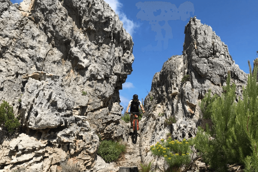 Mountain bike in Elgin