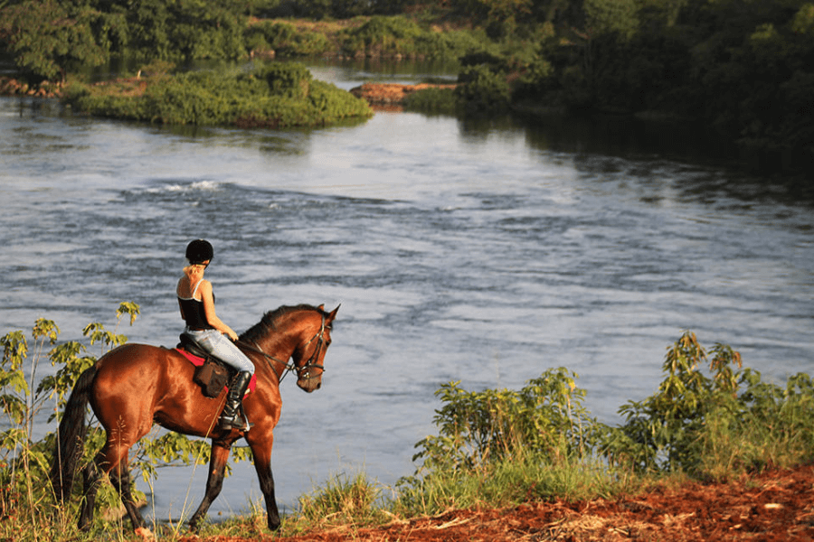 Explore by horseback