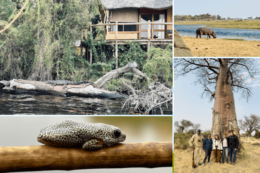Okavango Delta Exploring Jewel of Africa