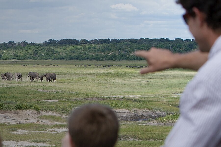 Why book an African safari?