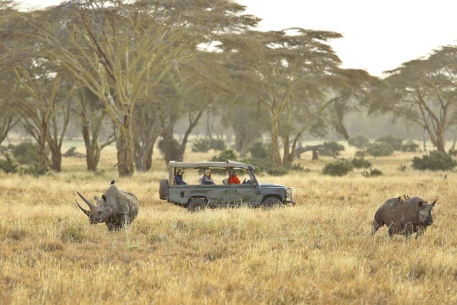 Afternoon Game Drive with Rhinos