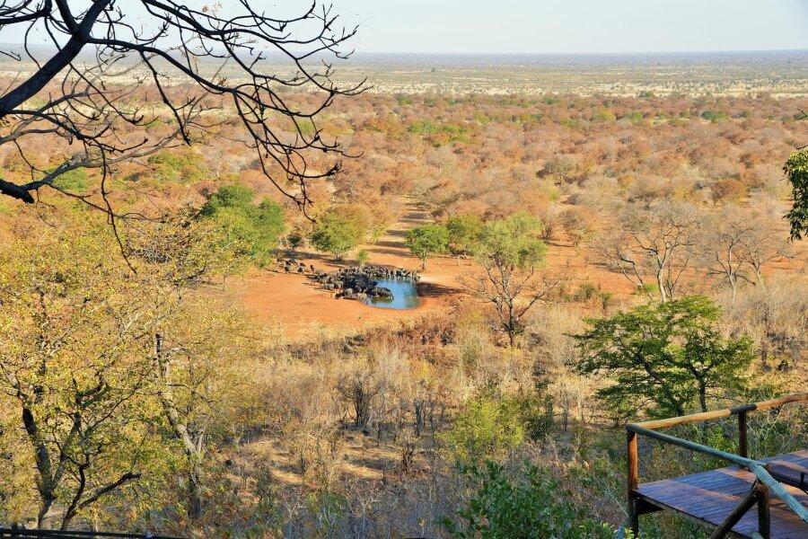 Savute safari lodge with a view