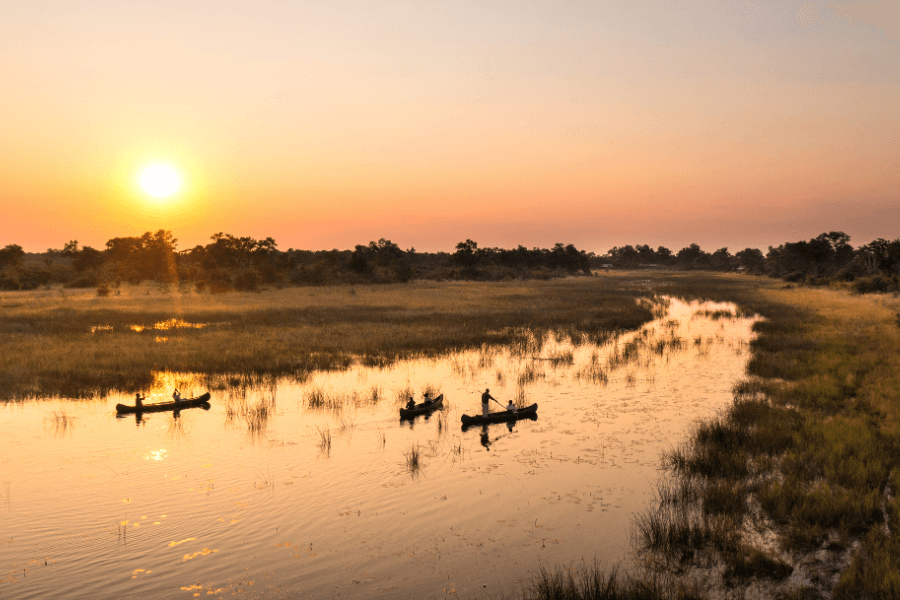 Safari Fever sunset in the Okavango Delta