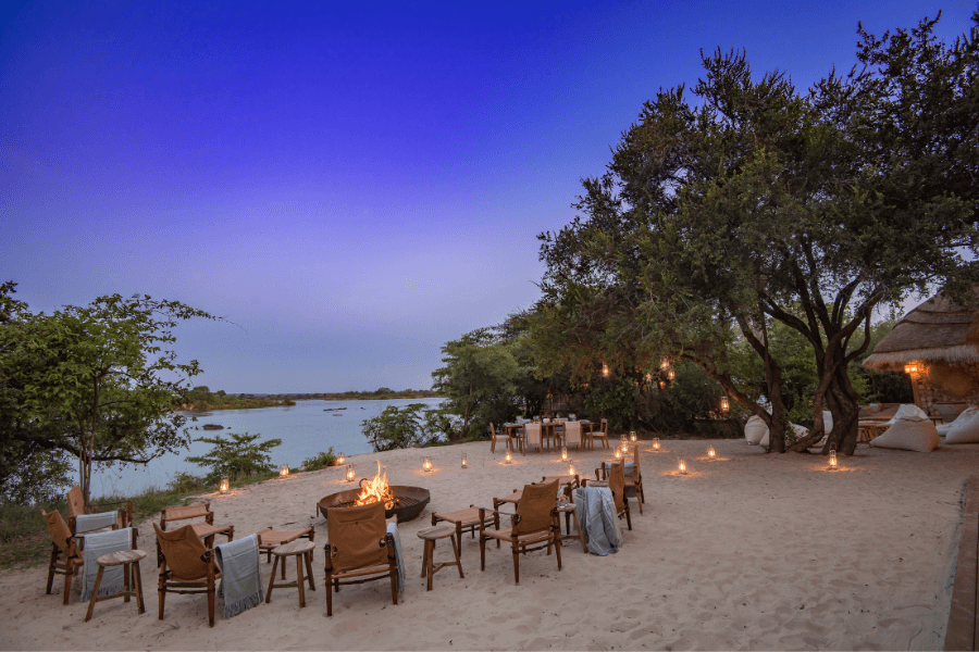 Precious moments in the bush, Safari Fever