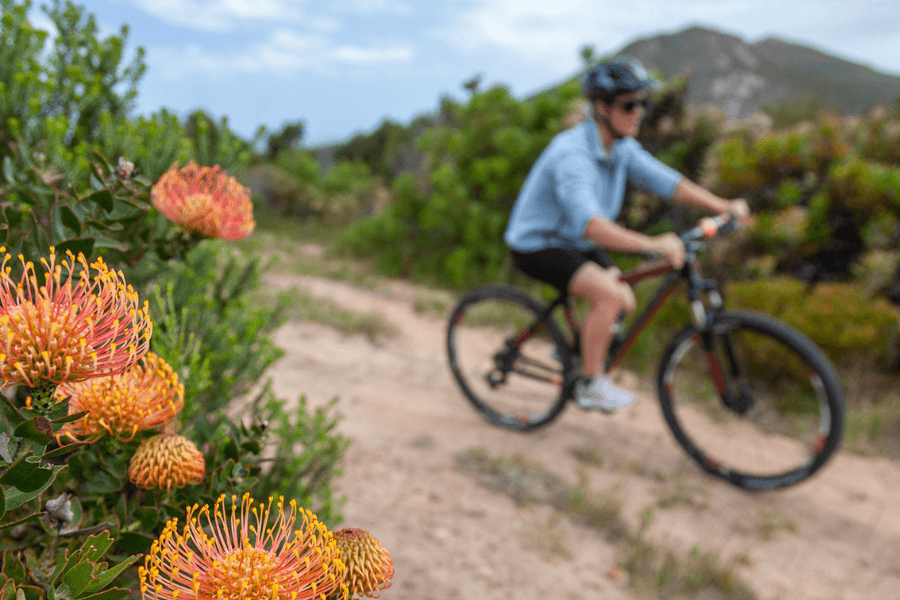 Mountain bike experience with spectacular panoramic views