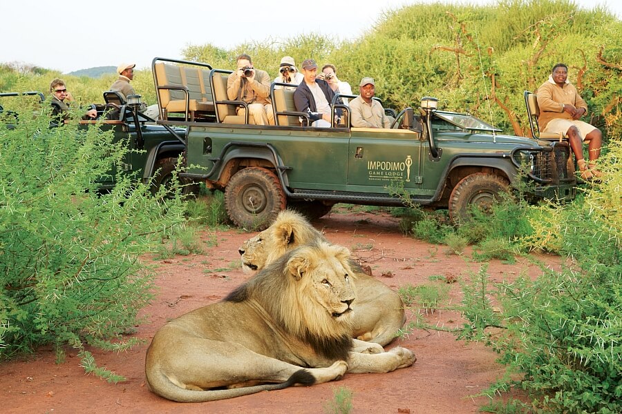 Family Safari in Madikwe Game Reserve