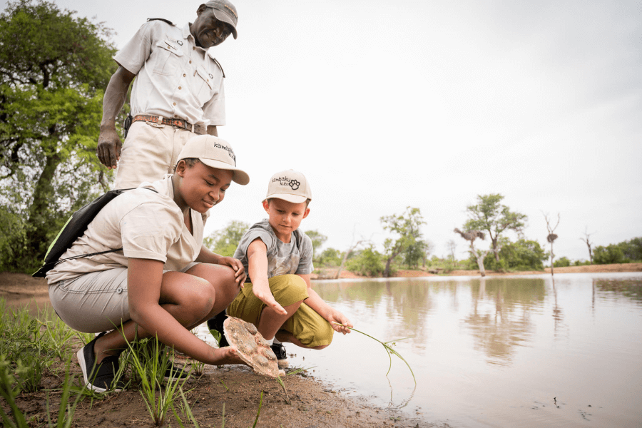Kruger safari with children