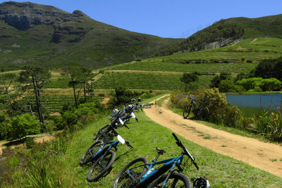 Cape Winelands by bike
