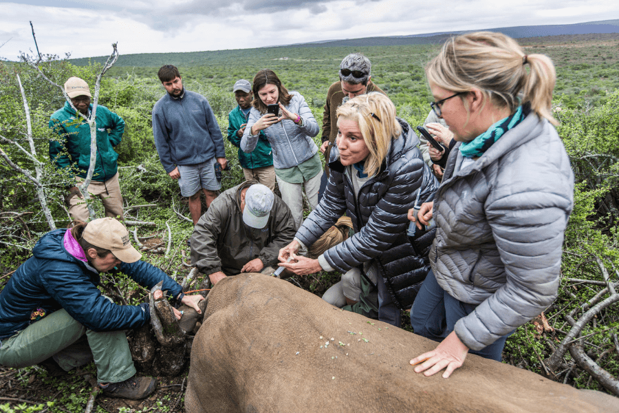 Collaborate to preserving Africa's wilderness