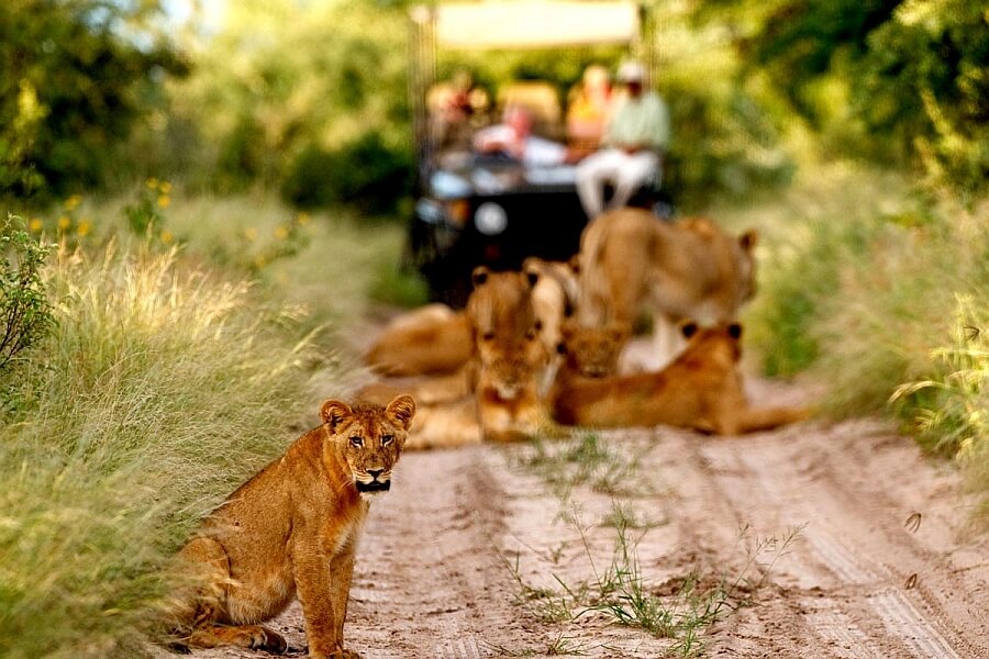 Botswana Travel with Toddlers and Babies