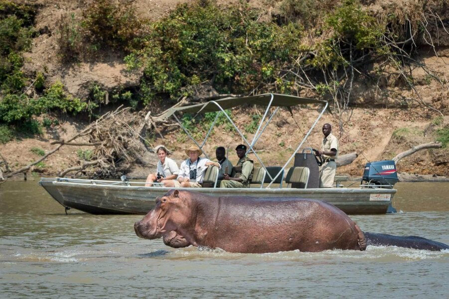 Boat cruise on the Luangwa River