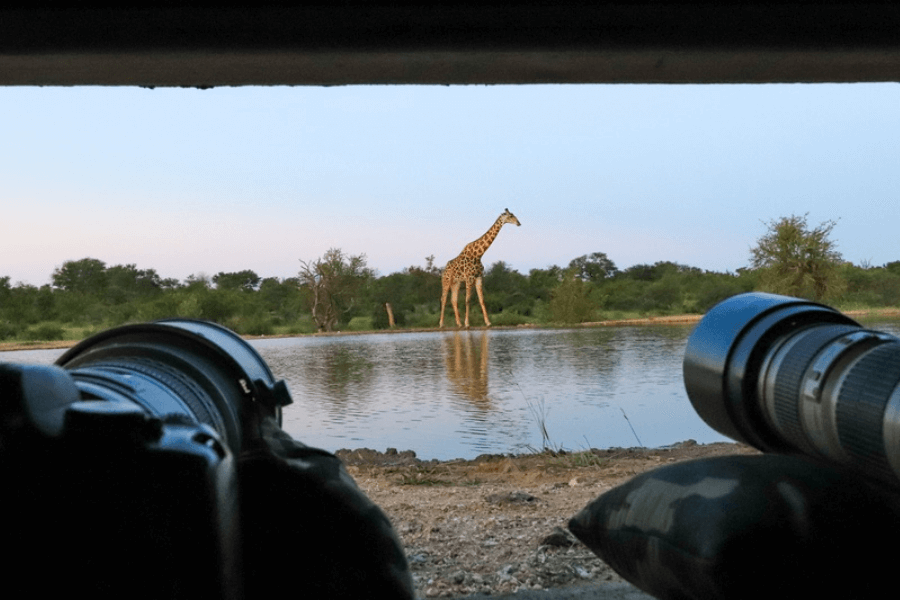 Shooting from the Klaserie safari hide