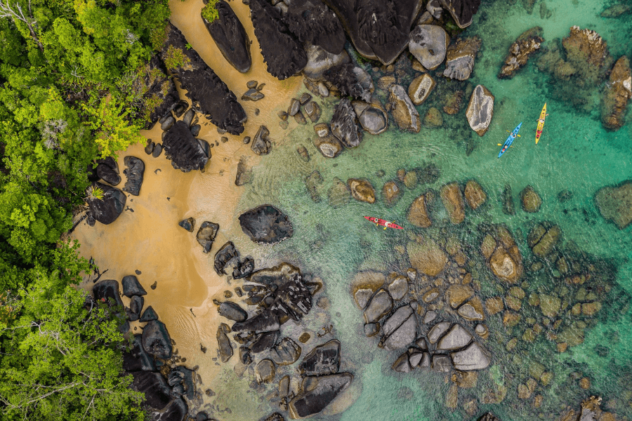 Activities in Madagascar Masoala Forest