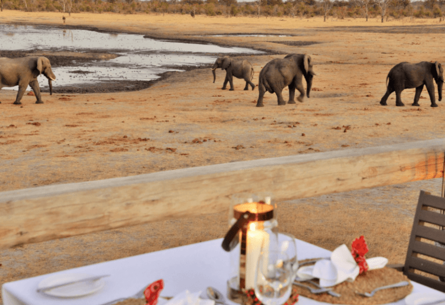 Elephants drinking at the waterhole in front of lodge in dry season