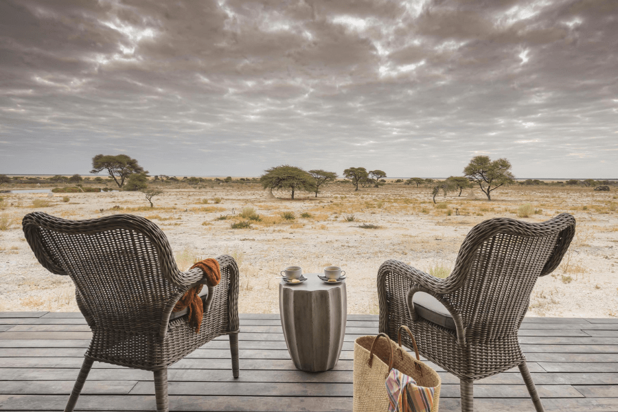 Spotlight on Etosha