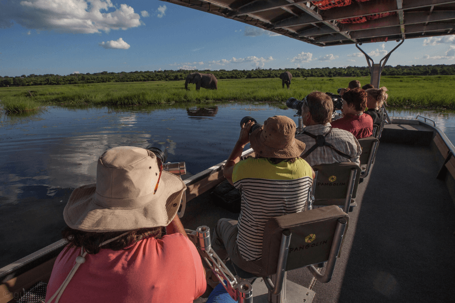 Specially designed safari boats in the Chobe