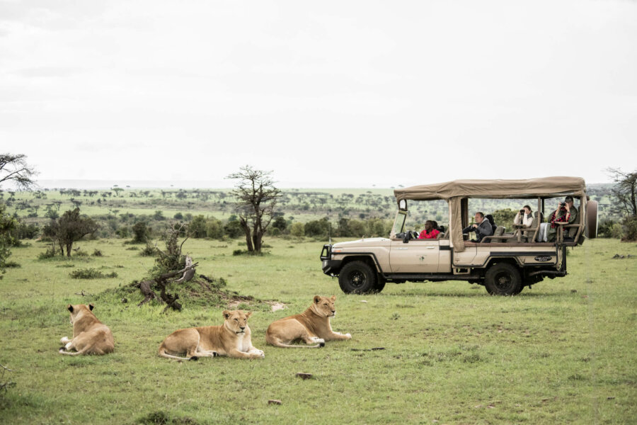New Years Eve Destinations in Kenya