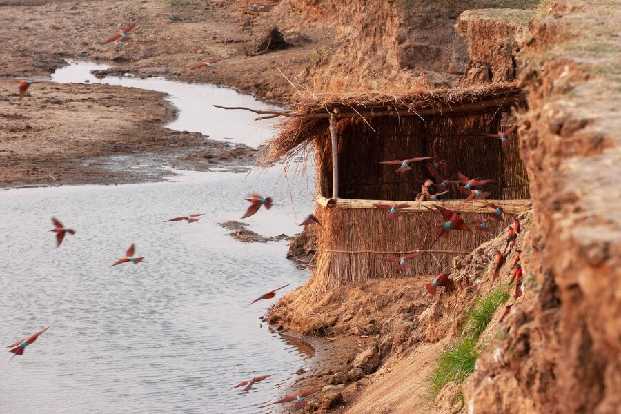 Best birding along Africa's Rivers